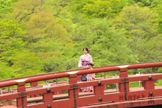 Japonska_021