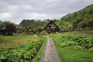 Japonska_031