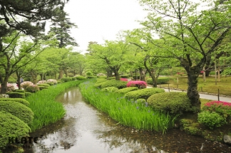 Japonska_042