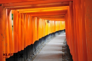 Japonska_069