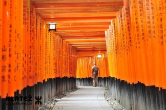 Japonska_070