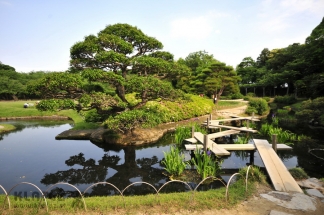 Japonska_084