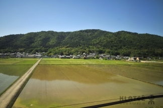 Japonska_099